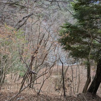 あっというまにロード見える