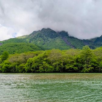 山頂は雲の中