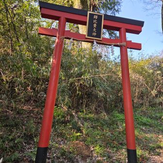ぬでひめ神社