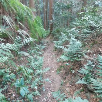 帰りの道の雰囲気