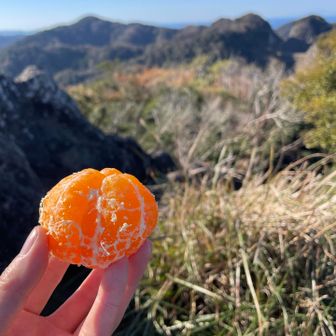 みかん発動🍊✨