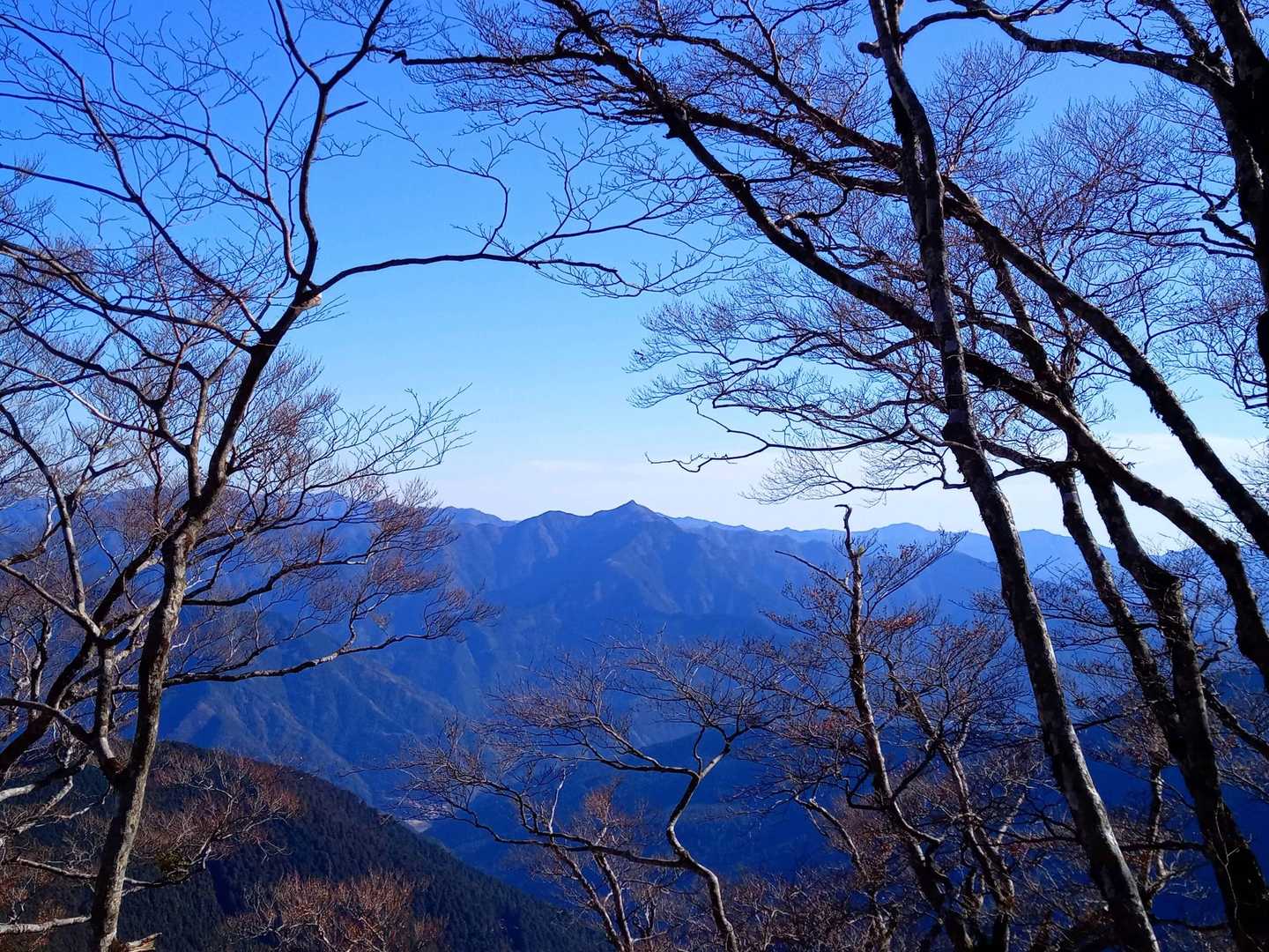 高見山🏔