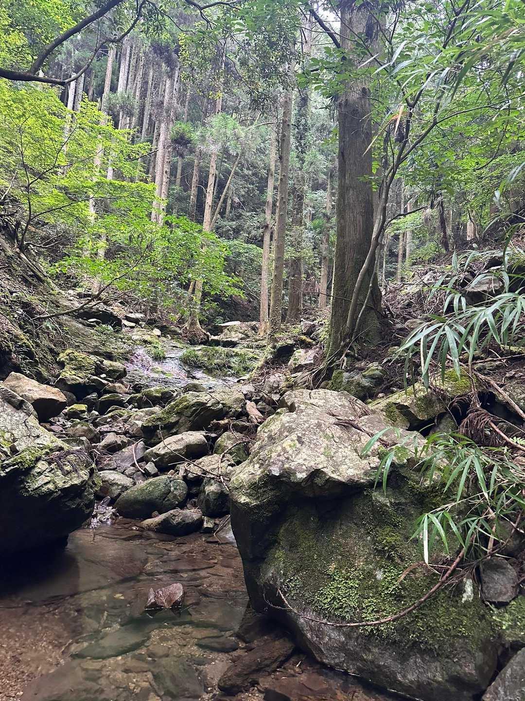 沢で顔を洗ってお終い