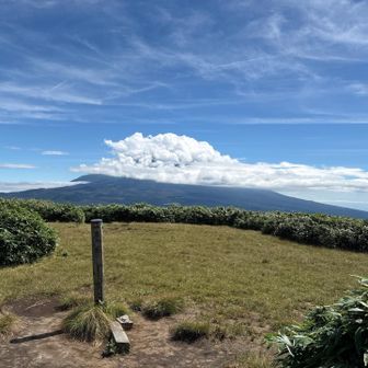 広々とした山頂に到着！そのギリギリまで藪漕ぎでした。。