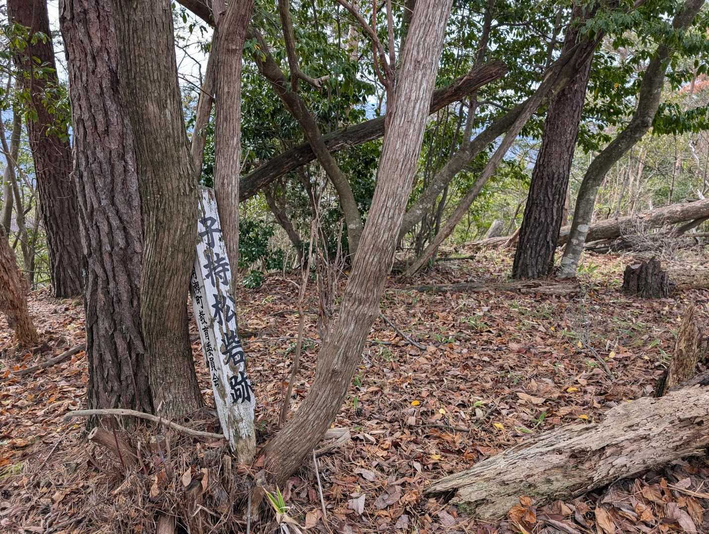 三角山 周回コースの写真