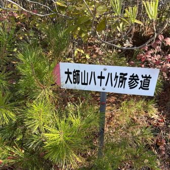 大師山から下山開始
頂上の写真撮るの忘れてた。