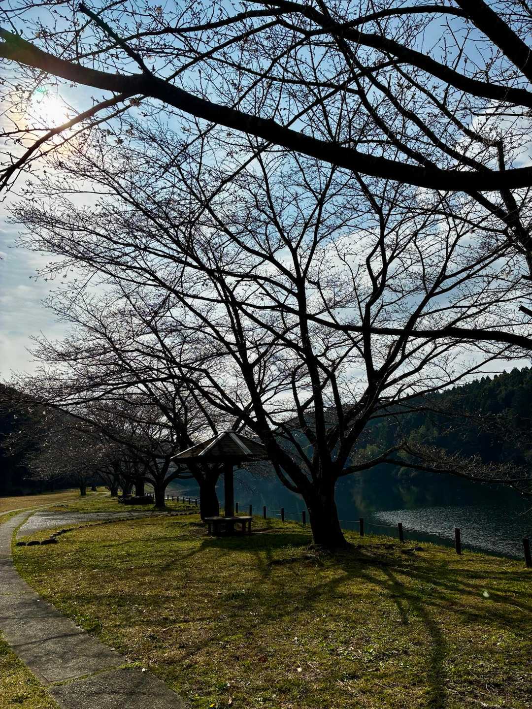 蒲生池の駐車場に到着🚗

ここの木は全部ソメイヨシノ🌸
咲いたら蒲生池に映って綺麗だろうなぁ✨