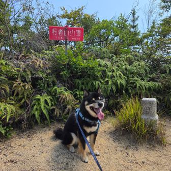 アチチ