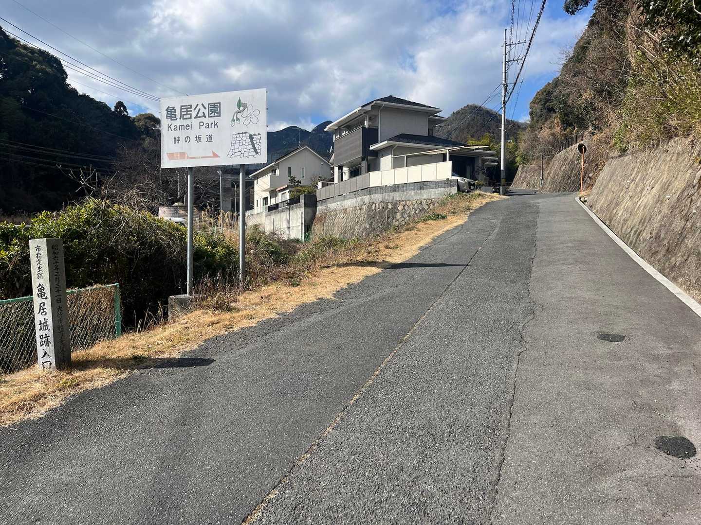 本日最後は亀居城本丸桜山です