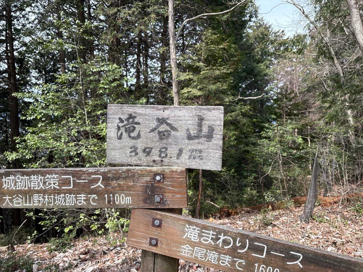 野村山-野村坂-大谷山-滝谷山-雁又山 周回コースの写真