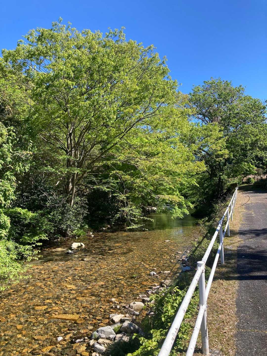 綺麗な川沿いの舗装路を歩いて車まで