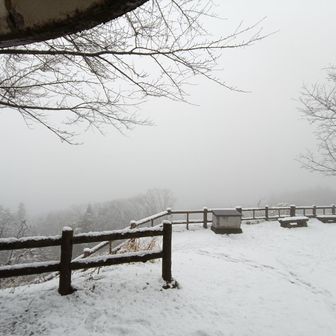 山頂、景観なし🍐
