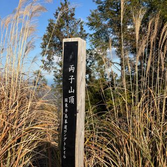 あれから恐ろしく整地されてないところを歩き続け、やっと登頂。
勾配がキツかったー😣

展望台もあったので行ってみると