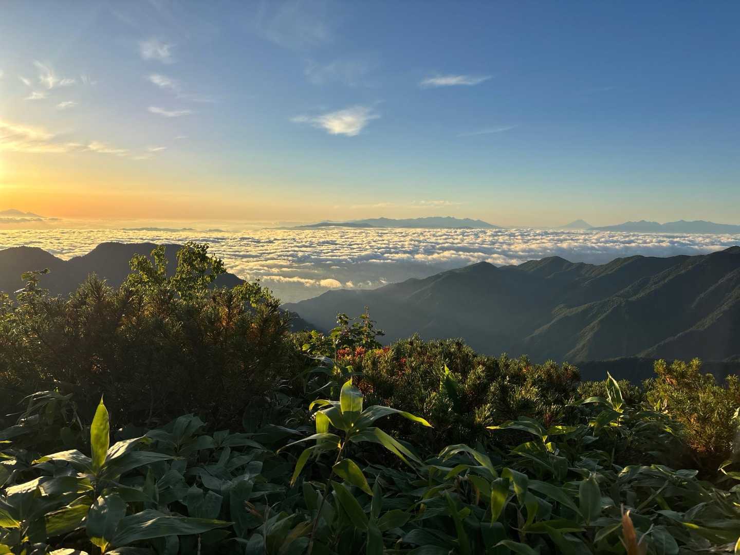 こんな絶景を見れるのも、早出のご褒美✨