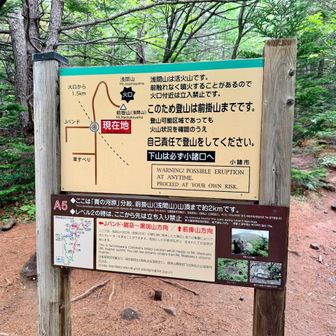 去年は噴火警戒レベルが２だったので進入禁止でした。