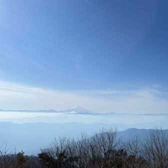 霞んでますがこれはこれできれい