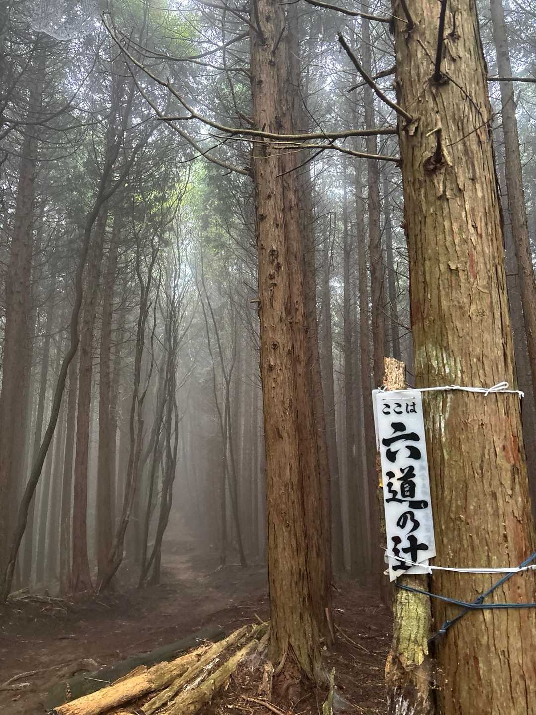 やっとこさ六道の辻に着いたよ👍
ここでちょいと休憩や