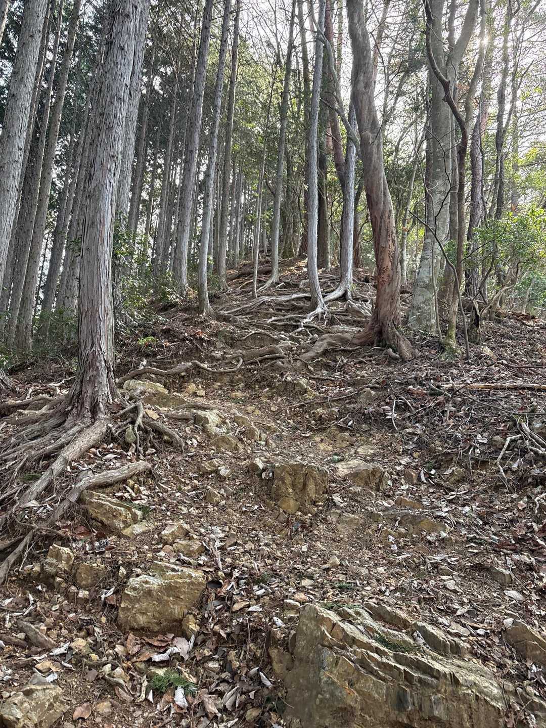 初級でこんな激登りあったけ〜💦