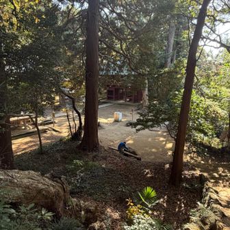 なんと山門に戻ってきた😢