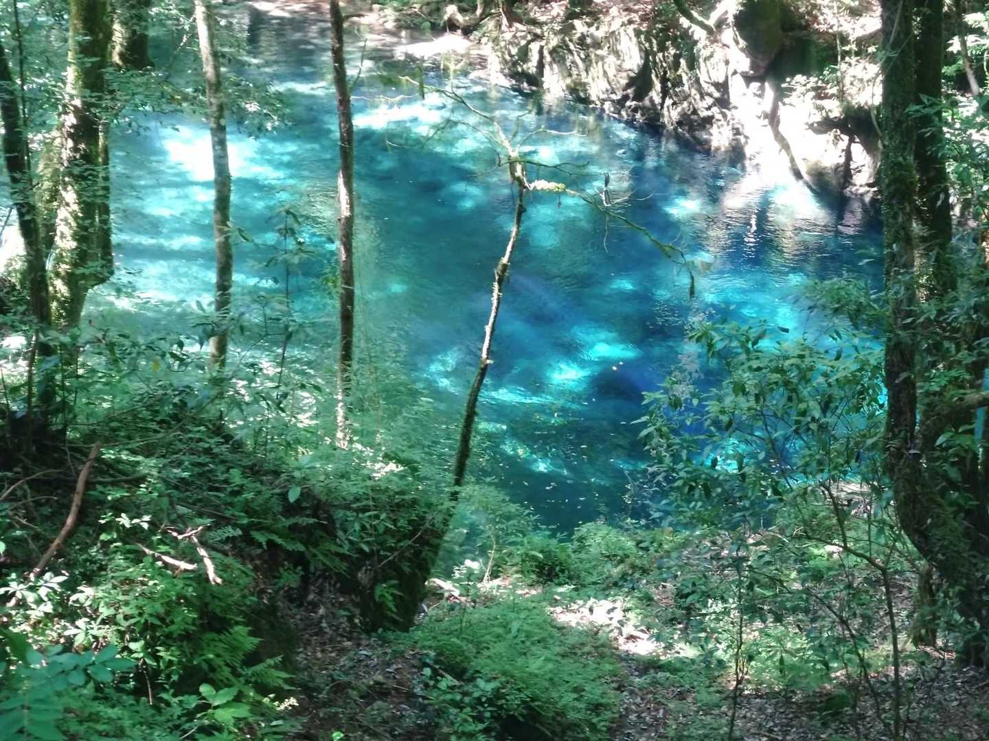 清流の色、美しいですよね❗️
今日はいい旅になりました。
山神様ありがとうございました😊