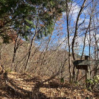 ここにベンチあり、休憩☕️