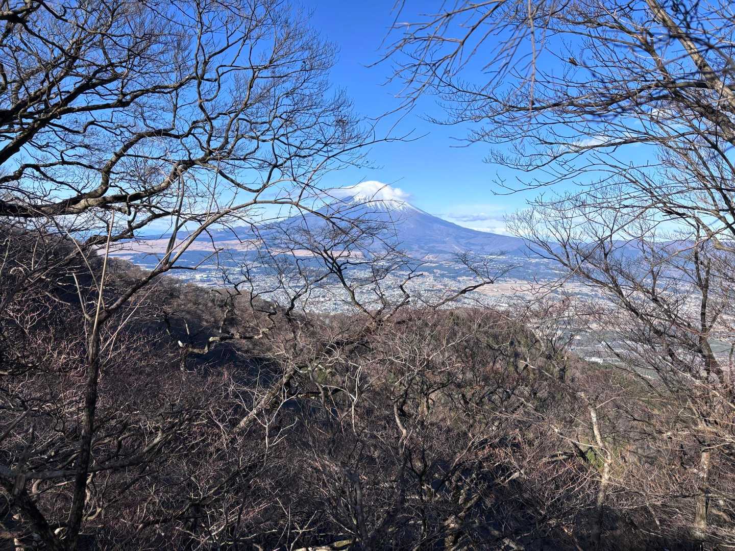もっと眺望いいかと思ってました.
乙女峠まではあまり眺望は期待できません.