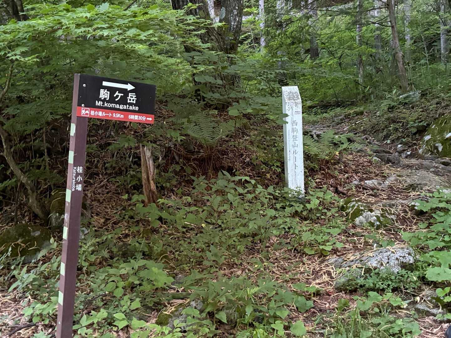 ここからスタート　駐車場には先行者5、6台