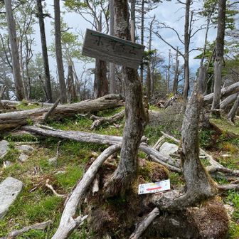 いつの間にか前の2つのピークは巻いてしまったようで、、、小河内山到着