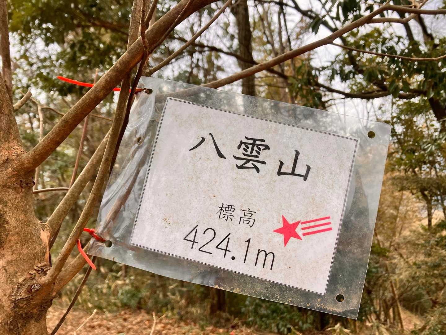 登頂⛰️