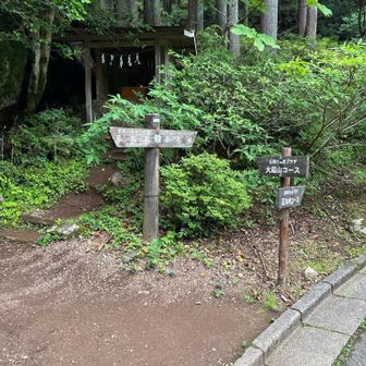 大蔵山コースが更に分岐しているとはこの時は思わず