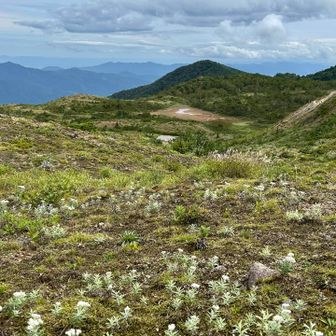 沼ノ平方向。赤埴山の左奥に川桁山