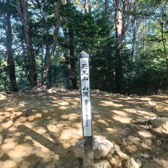 天王山山頂