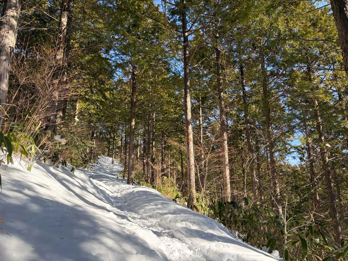 高嶺山登山道入口-長者峰 往復コースの写真