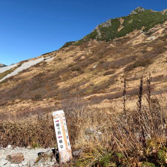分岐