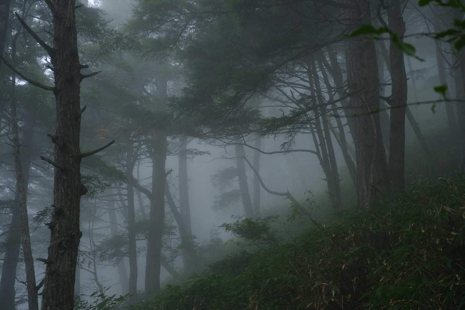 燕山荘に宿泊なので、ゆっくりと登山👣
今回もガスガス
(´_ゝ｀)
ここ最近、週末の天気はスカッと晴れないっすね。。。