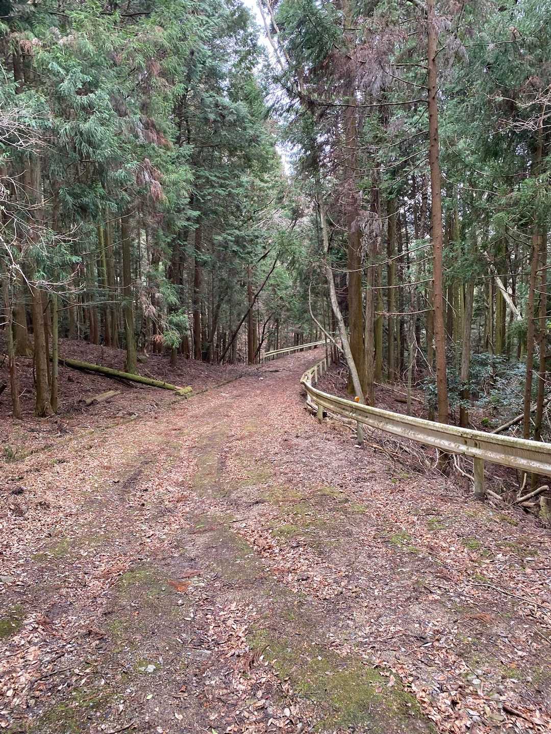 扉を通過してから、暫くはこんな道が続く😊