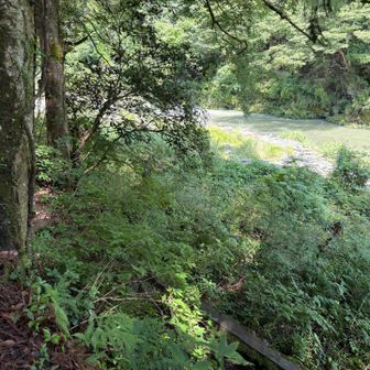 川沿いに進みます