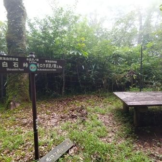 水晶沢の頭