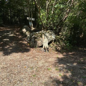 左から登り右から下りてきます