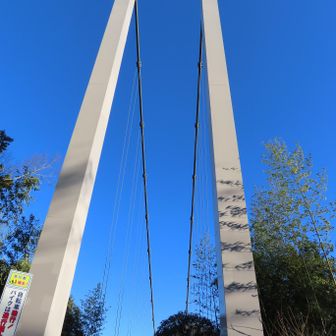 津久井湖にかかる三井そよかぜ橋
（歩行者専用・車道は三井大橋）