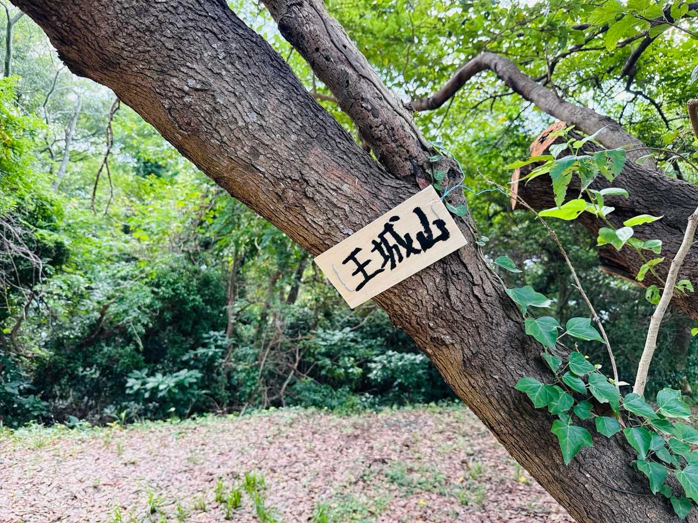 王城山 登頂〜
(∩´∀｀)∩ﾜｰｲ