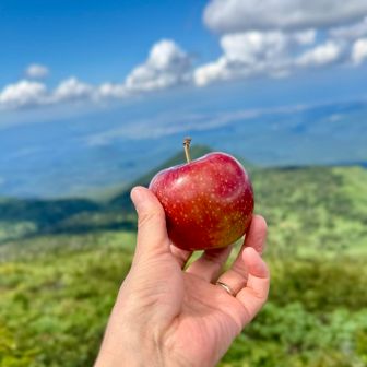 そんで今年も恋空🍎