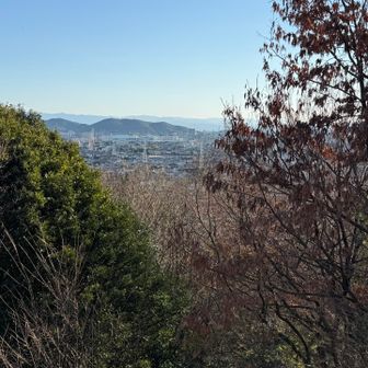 山頂の展望台から「ゆめタウン光の森」の場所を教えてもらう
山の場所より覚える自信あり
あれ
ここ山頂標識あったっけ？
今年もぼーっとして「わからーん」で行くばい！！