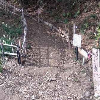 第3Pの登山口、まだ里山のんびり歩きをイメージしてました😅