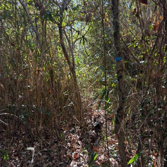 山名板はこの奥でした