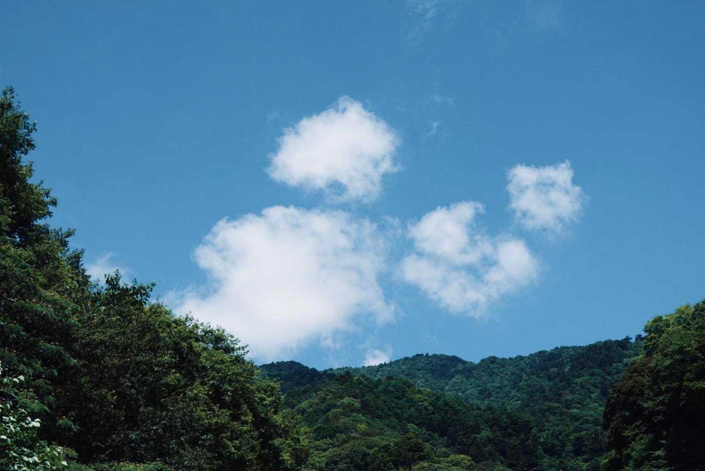 見上げた大山。近そうなのに遠いんだよねー