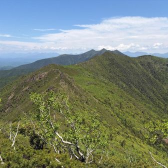 いざ、吉田岳