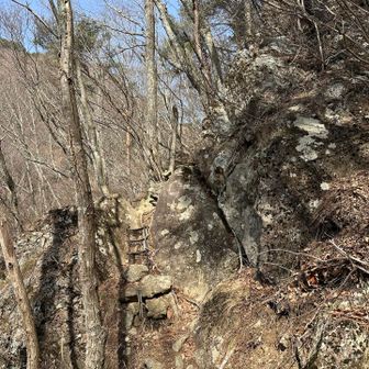 ご親切に、段差が大きいところには、ハシゴも