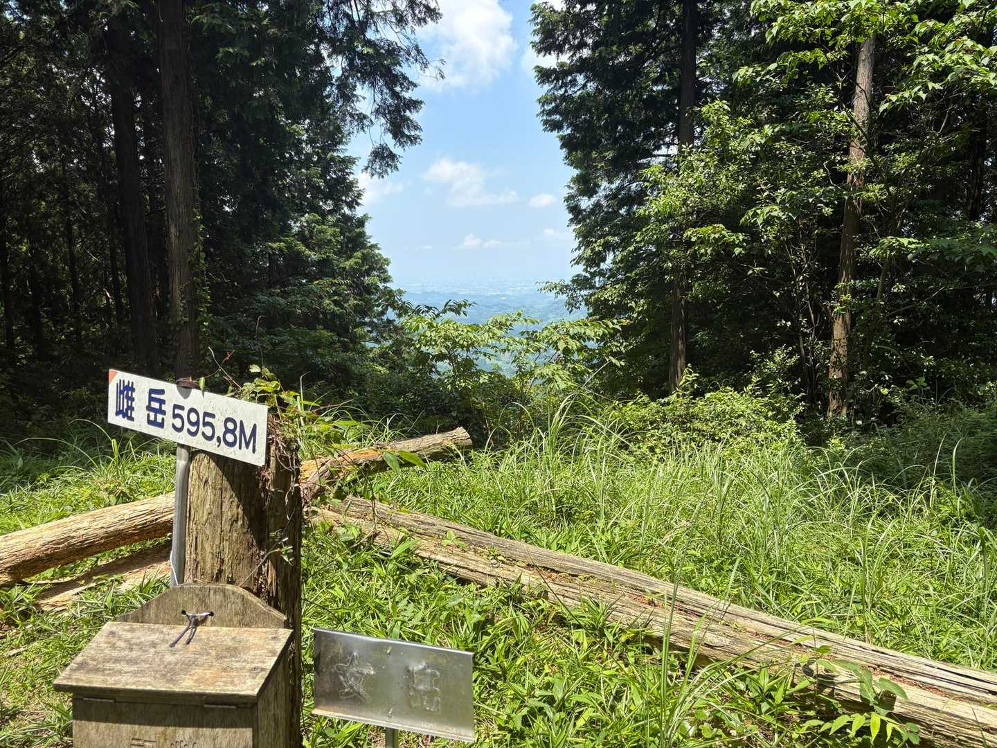 女岳🚩
