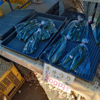 きゅうりが売っていますね